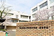 私立国立音楽大学附属中学校 徒歩5分。 390m