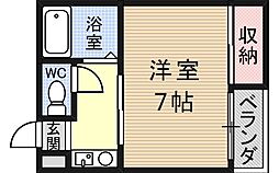 プチルミエール