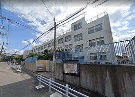 レディエント安立  ｜ 大阪府大阪市住之江区安立4丁目（賃貸マンション1R・1階・20.00㎡） その14