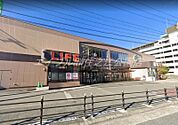ライフ新北島店 4862m