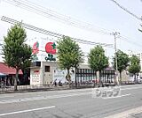 スギ薬局 山科椥辻店まで91m