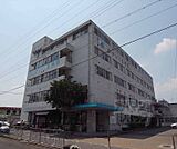 むかいじま病院まで624m