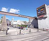 MOMOテラスまで1100m