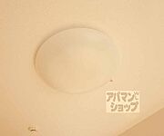 照明付・