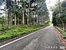 外観：前面道路含む現地写真