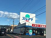 ドラッグスギヤマ　多米店 930m