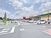 フォレストモール八王子大和田店 徒歩17分。 1290m