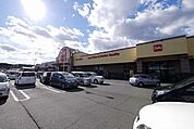 ベルク入間野田店 2411m