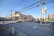 エコスTAIRAYA武蔵藤沢店 577m