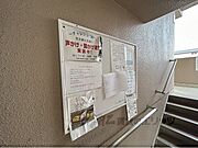 掲示板