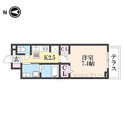 カモミール菅原東