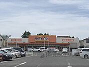 プライスカット　法蓮店まで500メートル