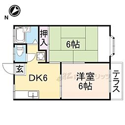 フォレストコート