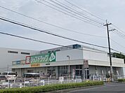 ジップドラッグ　今国府店まで800メートル