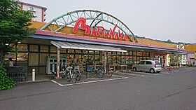 レオパレスKaratachi 211 ｜ 香川県高松市新北町（賃貸アパート1K・2階・22.70㎡） その29