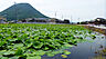 周辺：【公園】菰池まで1219ｍ