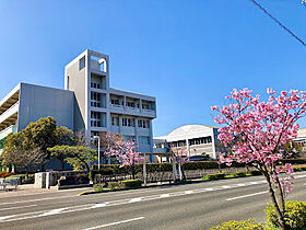 フェリオB 102 ｜ 香川県高松市三谷町5115-1（賃貸アパート1LDK・1階・47.82㎡） その18