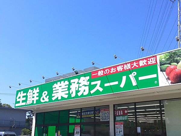 画像29:【スーパー】業務スーパー 上天神店まで1310ｍ