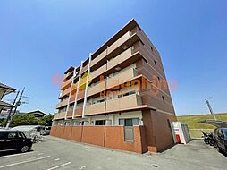 外観も気になるポイント