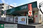 ユーコープ丸山台店 徒歩4分。スーパー 270m