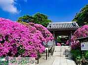安養院 徒歩15分。レジャー・観光 1130m