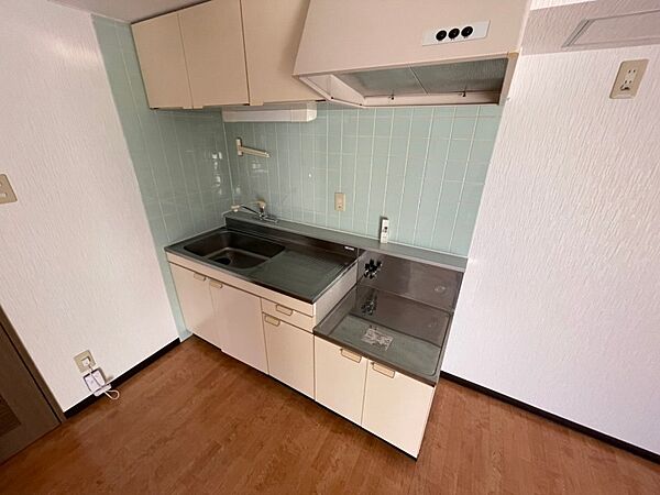 画像5:キッチンは調理スペースもあり料理がはかどりそうです。