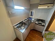 洗い場が大きくて洗い物もしやすそうです。