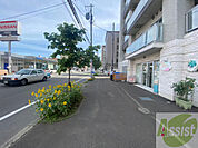 前面道路、建物周り等
