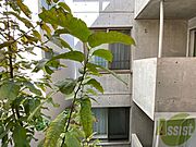 眺望はこちら。静かな住宅街という印象を受けました。