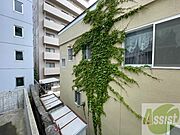 街中ですので建物はありますが風通しバッチリですよ！