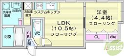 DIOGRACIA北大前 1LDKの間取図画像