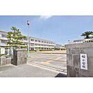 小学校「桜小学校まで300ｍ」