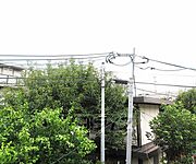 バルコニーからの眺望です