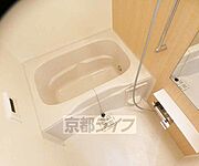 3点セパレート