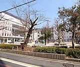 高倉小学校まで918m 街中の小学校