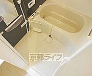 3点セパレート