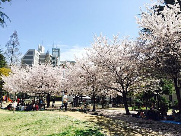 ボヌールエイワ 302｜大阪府大阪市西区靱本町1丁目(賃貸マンション1K・3階・25.00㎡)の写真 その30