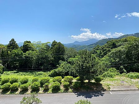 リビングからの眺望