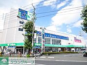 ザ・ダイソーパシオス南加瀬店 徒歩7分。その他小売店 510m