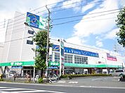 ザ・ダイソーパシオス南加瀬店 徒歩12分。 940m