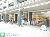 デリド武蔵小杉店 804m