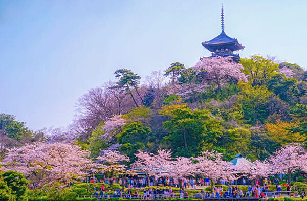 カパルアガーデン山手 ｜神奈川県横浜市中区西之谷町(賃貸アパート1K・1階・15.97㎡)の写真 その22