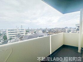 帝塚山グリーンレジデンス  ｜ 大阪府大阪市阿倍野区帝塚山1丁目（賃貸マンション1LDK・2階・48.63㎡） その13