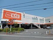 ザ・ビッグ 静岡新伝馬店（1117m）