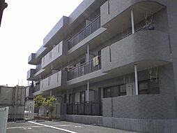 2 / 4