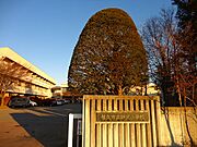 野沢小学校まで1100m