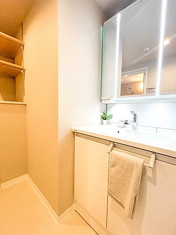 洗面 ライネスハイム東浦和 2階/-