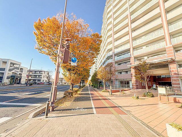 外観 センターフィールド浦和美園壱番街フロントランド 12階/-