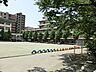 周辺：小学校 570m 幸町小学校