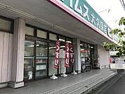 コンビニ 1431m ドラッグセイムス大久保店